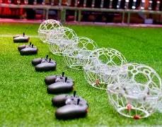 娱乐圈,女星齐聚,流星花园,B,Sports,B体育,体育直播,体育赛事,APP下载,官方网地址