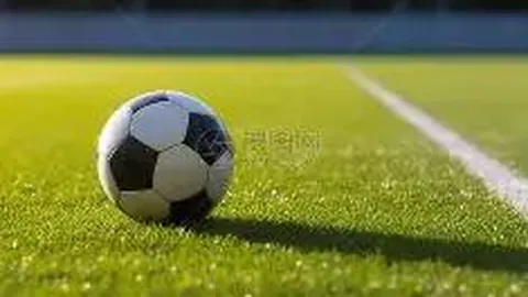 长春电竞酒店客房变垃圾场，厕纸堆满马桶